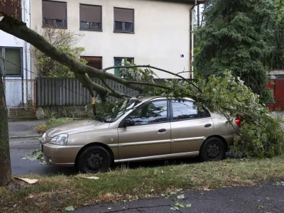 A fallen tree on a damaged parked car after a powerful storm, in Zagreb, Croatia, Wednesday, July 19, 2023. A powerful storm with strong winds and heavy rain hit Croatia and Slovenia on Wednesday, killing at least three people and injuring several others. (AP Photo)