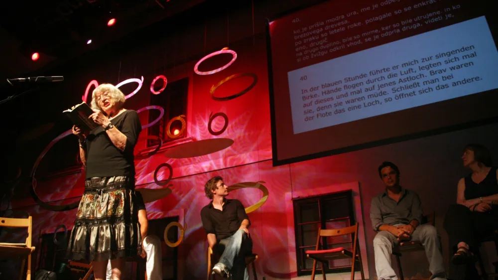 Dnevi poezije in vina, Ptuj, 2011