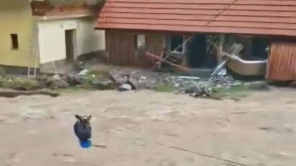 Gorski reševalec in reševalec z divjih voda sta uspela rešiti kar petnajst oseb, ki jim je grozila podivjana Savinja. 