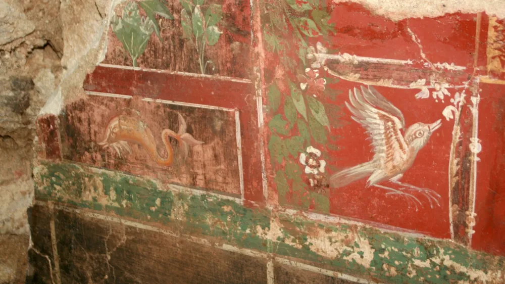 Pri prenovi Muzejskega trga pred šestimi leti so naleteli na antično vilo z dragocenimi freskami. Foto: Nina Sovdat