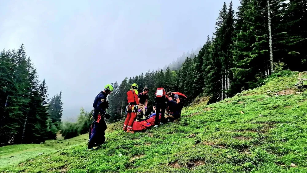 Bik je pastirja napadel na Jeseniški planini. F GRS Jesenice