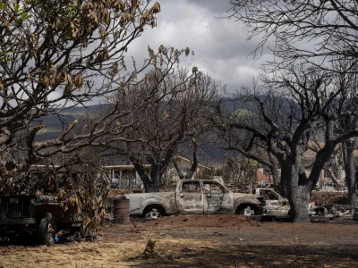 Charred trees and burned cars are pictured on Malo Street, Monday, Sept. 25, 2023, in Lahaina, Hawaii, following Maui's deadly wildfire. (AP Photo/Mengshin Lin)