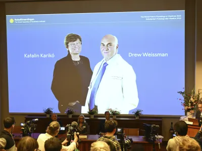 Thomas Perlmann, secretary of the Nobel Assembly, right, announces the winner of the 2023 Nobel Prize in Physiology or Medicine to Katalin Karikó and Drew Weissman, seen on screen, at the Karolinska Institute in Stockholm, Monday Oct. 2, 2023. The Nobel Prize in medicine has been awarded to Katalin Karikó and Drew Weissman for discoveries that enabled the development of effective mRNA vaccines against COVID-19.(Jessica Gow/TT News Agency via AP)