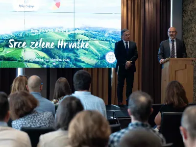 Boris Grigić veleposlanik F Saša Despot