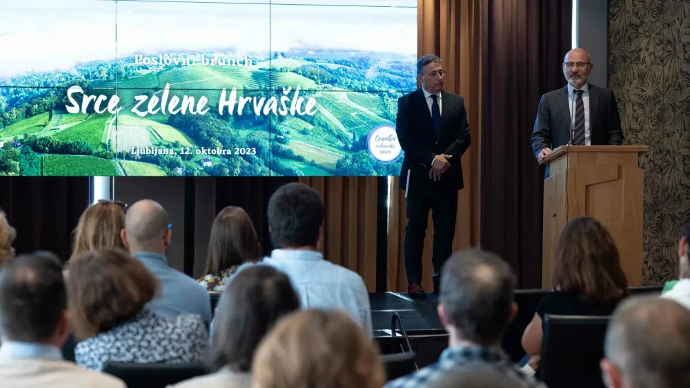 Boris Grigić veleposlanik F Saša Despot