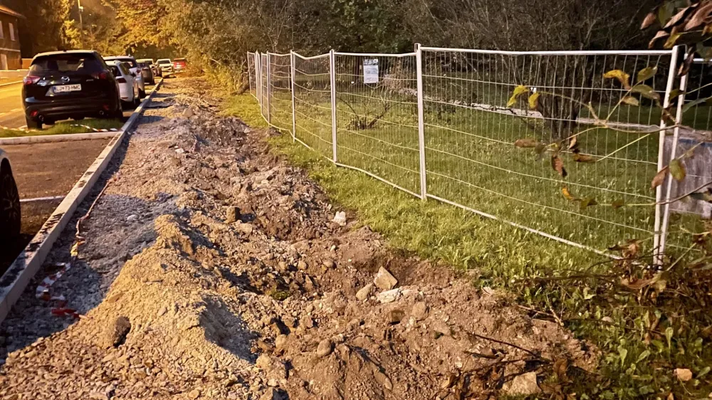 Mestna občina Ljubljana bo financirala gradnjo nove ograje Botaničnega vrta ob Ižanski cesti. 