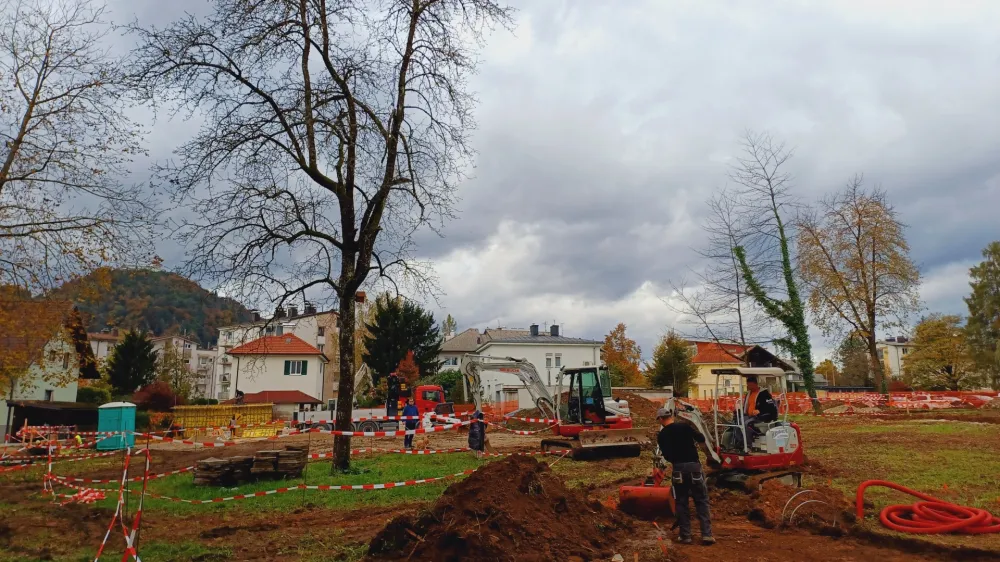 Trenutno se v parku izvajajo gradbena, obrtni&scaron;ka in elektroin&scaron;talaterska dela za ureditev javne razsvetljave.&nbsp;