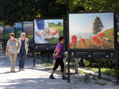 06.09.2023 - Jakopičevo sprehajali&scaron;če, Tivoli, razstava Cvetje v jeseniFoto: Tomaž Skale