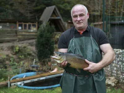 Andrej Škoberne, - 30.10.2023 - Ribogojnica Natura, vzreja postrvi, Želimlje 23C, //FOTO: Jaka Gasar