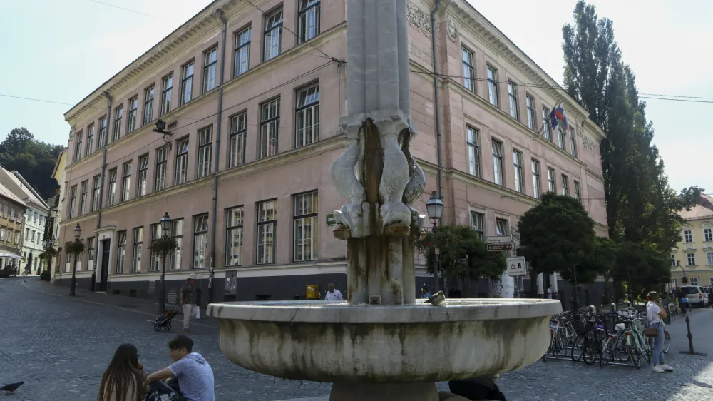 V Centru Janeza Levca se je v zadnjih petnajstih letih število otrok povečalo za polovico. 