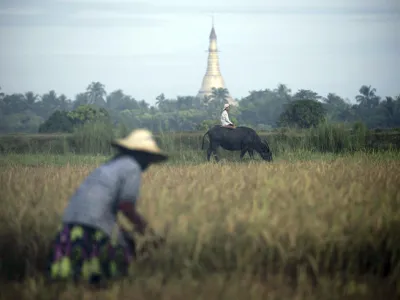 Rekordverdächtiges Spiel<br><br>Fuzhou, China. Ein Mitglied der "Thunderbolt Craziness"-Band trägt einen Metallanzug, während er einen Lichtbogen formt. Dazu benutzt er einen Metallstab und steht auf einer Tesla-Spule. Die Band produziert die Effekte passend zu ihrer Musik. Mit 1,8 Meter hohen Tesla-Spulen und bis zu 4,2 Meter langen Lichtbögen will die Gruppe in China einen neuen Weltrekord aufstellen. <br><br>In einem Land vor unserer Zeit<br><br>Bago, Myanmar. Es wirkt wie ein Motiv aus einem Märchen: Im Hintergrund ragt eine Pagode, ein mehrgeschossiges, turmartiges Bauwerk, in die Höhe, davor kniet ein kleiner Junge auf einem Bullen und eine Frau erntet Reis. Das Motiv stammt aus Myanmar, aufgenommen nahe der Stadt Bago. Jüngsten Berechnungen zufolge soll der Reisexport in dem asiatischen Land um mehr als das Doppelte ansteigen. Myanmar orientierte sich in den Jahren der Isolation verstärkt gen China, will nun aber sein Verhältnis zum Westen stärken. Zahlreiche amerikanische Unternehmen stehen bereits in den Startlöchern, um zu investieren. <br><br>Schlecht bezahlte Zirkusnummer<br><br>Hyderabad, Indien. Das kleine Mädchen verdient seinen Lebensunterhalt mit Akrobatik auf der Straße. Es balanciert über ein gespanntes Seil, während seine Mutter dazu auf einer Trommel spielt. Doch die reisenden Straßenkünstler, die nach ihrer Aufführung bei den Zuschauern Geld sammeln, haben ein mageres Einkommen. © Noah Seelam/AFP