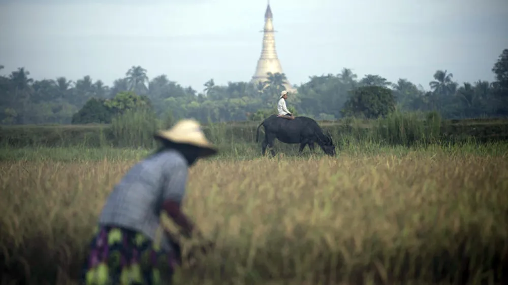 Rekordverdächtiges Spiel<br><br>Fuzhou, China. Ein Mitglied der "Thunderbolt Craziness"-Band trägt einen Metallanzug, während er einen Lichtbogen formt. Dazu benutzt er einen Metallstab und steht auf einer Tesla-Spule. Die Band produziert die Effekte passend zu ihrer Musik. Mit 1,8 Meter hohen Tesla-Spulen und bis zu 4,2 Meter langen Lichtbögen will die Gruppe in China einen neuen Weltrekord aufstellen. <br><br>In einem Land vor unserer Zeit<br><br>Bago, Myanmar. Es wirkt wie ein Motiv aus einem Märchen: Im Hintergrund ragt eine Pagode, ein mehrgeschossiges, turmartiges Bauwerk, in die Höhe, davor kniet ein kleiner Junge auf einem Bullen und eine Frau erntet Reis. Das Motiv stammt aus Myanmar, aufgenommen nahe der Stadt Bago. Jüngsten Berechnungen zufolge soll der Reisexport in dem asiatischen Land um mehr als das Doppelte ansteigen. Myanmar orientierte sich in den Jahren der Isolation verstärkt gen China, will nun aber sein Verhältnis zum Westen stärken. Zahlreiche amerikanische Unternehmen stehen bereits in den Startlöchern, um zu investieren. <br><br>Schlecht bezahlte Zirkusnummer<br><br>Hyderabad, Indien. Das kleine Mädchen verdient seinen Lebensunterhalt mit Akrobatik auf der Straße. Es balanciert über ein gespanntes Seil, während seine Mutter dazu auf einer Trommel spielt. Doch die reisenden Straßenkünstler, die nach ihrer Aufführung bei den Zuschauern Geld sammeln, haben ein mageres Einkommen. © Noah Seelam/AFP