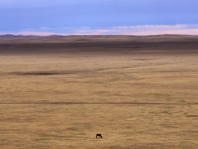 A lone horse grazes in the Munkh-Khaan region of the Sukhbaatar district, in southeast Mongolia, Saturday, May 13, 2023. Chronic drought plagues Mongolia. So does warming. Since 1940, the country's government says, average temperatures have risen 2.2 degrees Celsius (nearly 4 degrees Fahrenheit) &mdash; a measure that may seem small, but for global averages, scientists say every tenth of a degree matters, and a warming world brings more weather extremes. (AP Photo/Manish Swarup)