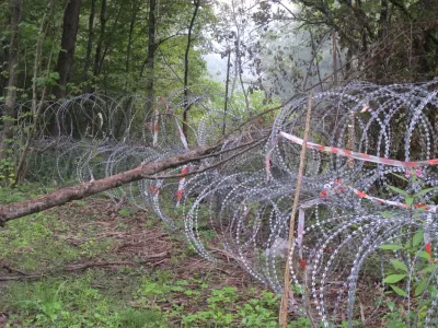 ﻿Kočevsko, ograja, rezilna žica. Foto: Dragana Stanković