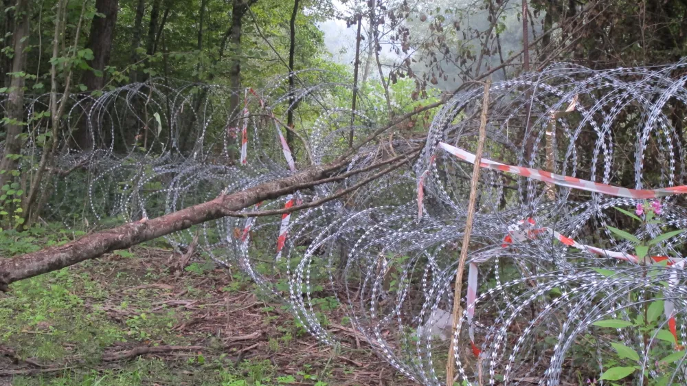 ﻿Kočevsko, ograja, rezilna žica. Foto: Dragana Stanković