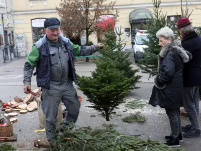 Tone iz Savinjske doline je bil včeraj edini trgovec, ki je na osrednji ljubljanski tržnici prodajal novoletna drevesca. Foto: Tomaž Skale