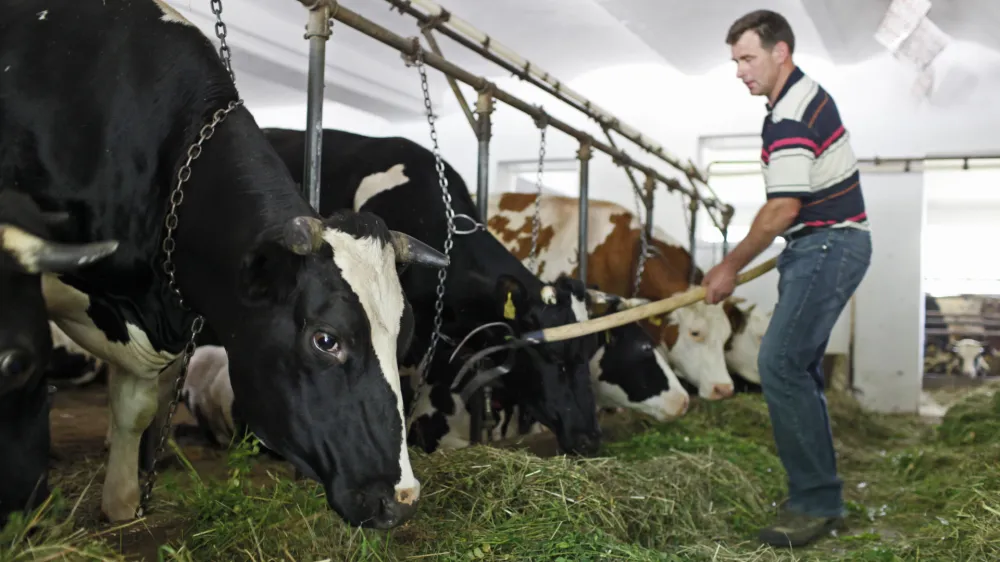 Jože Kogoj- pogovor o sezoni zelenjave v Sloveniji in o nadzoru nad prodajalci zelenjave; - novinarska konferenca ministrstva za kmetijstvo in okolje, Inštituta RS za varovanje zdravja (IVZ) in Kmetijske zadruge Krka //FOTO: Luka Cjuha