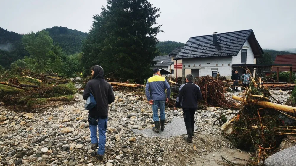 Letuš po poplavah 2023