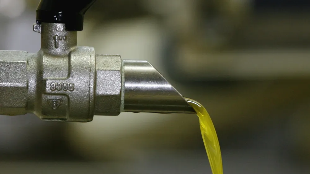 - Oljarna Torkla Šalara, stiskalnica - stiskanje olja  - Družinska kmetija Vanja Dujc - pridelovanje oljk in oljčnega olja Vanja - obiranje in proizvodnja oljčnega olja v slovenski Istri- nasad oljk Vanje Dujca leži na jugozahodnih pobočjih Male Seve nad Portorožem- obiranje in proizvodnja oljčnega olja - oljke - olive//FOTO: Bojan VelikonjaOPOMBA: ZA OBJAVO V PRILOGI – DNEVNIKOV OBJEKTIV - REPORTAŽA