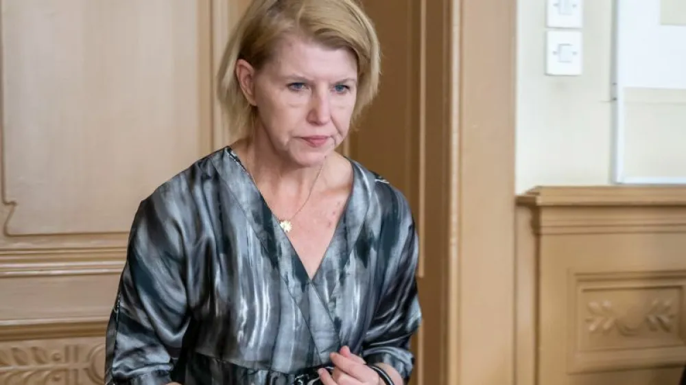 Nadaljuje se sojenje Nataši Sokolov, ki je prek društva Maus brez statusa humanitarne organizacije zbirala denar za ljudi v stiski.