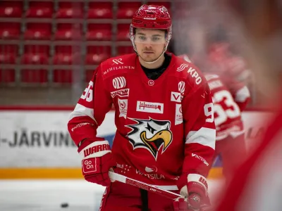 hokej na ledu, bine mašič, slovenija