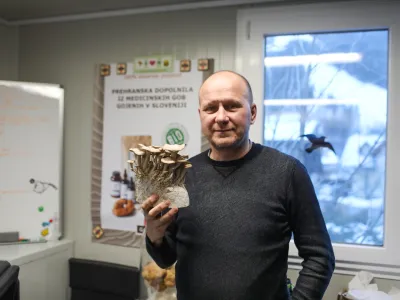 26.01.2024. dr. Andrej Gregori, ustanovitelj podjetja Goba, ki se ukvarja z gojenjem in produkcijo zdravilnih in medicinskih gob.//FOTO: Bojan Velikonja