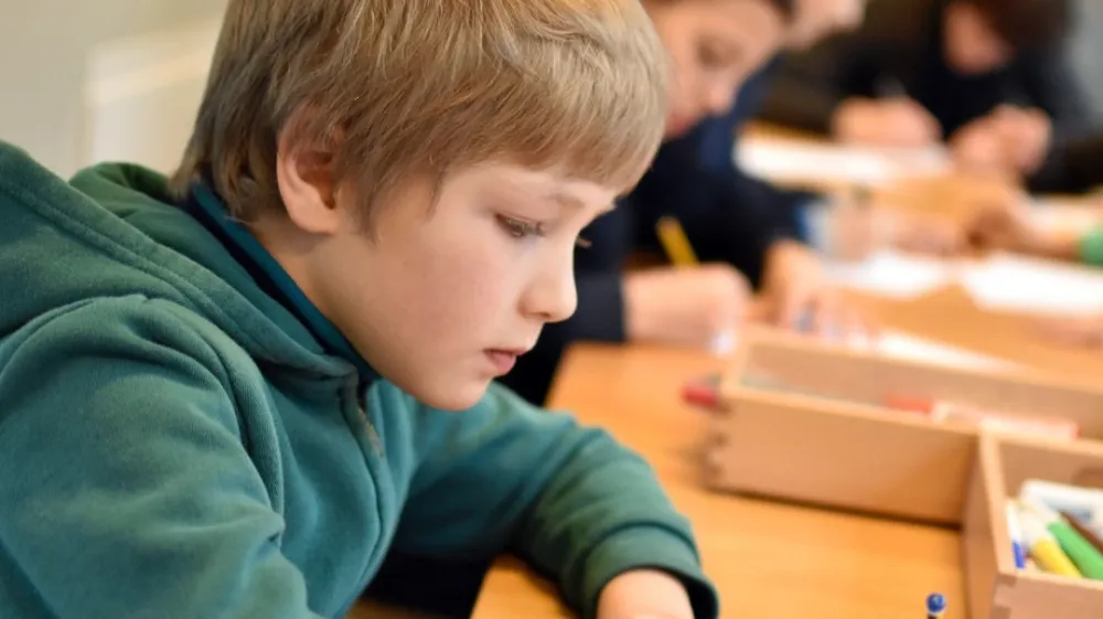 Počitniško varstvo v Mali ulici