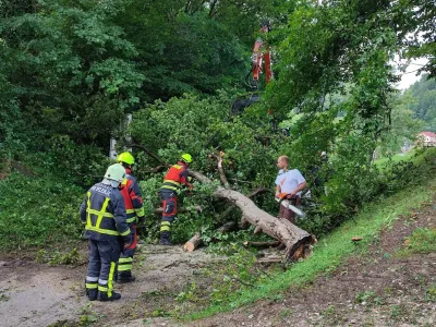 Družba Slovenski državni gozdovi je začela odstranjevati posledice neurja in čistiti gozd na območju trimsteze pri Vili Herberstein. Foto: MOV