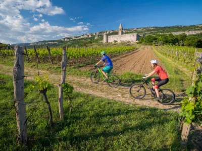 ﻿Zaradi velikega zanimanja med kolesarji in pohodniki po vodniku z naslovom Uživajmo podeželje so tega zdaj nagradili z novimi potmi.  Urejenih, vzdrževanih in ustrezno označenih je skupno 53: 28 pohodnih, 17 kolesarskih, pet učnih in tri konjeniške poti.<br>