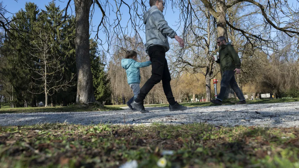 Za svoje celodnevno odgovorno delo rejniki od letošnjega 1. marca kljub povišici prejemajo 164 evrov mesečno. Fotografija je simbolična. 