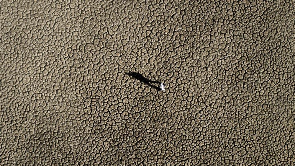 FILE - A man walks on the cracked ground of the Sau reservoir, which is only at 5 percent of its capacity, in Vilanova de Sau, about 100 km (62 miles) north of Barcelona, Spain, on Jan. 26, 2024. The U.N. weather agency is sounding "a red alert" about global warming last year and beyond, citing in a new report record-smashing statistics when it comes to greenhouse gases, temperatures of land and oceans, and melting glaciers and sea-ice &mdash; even if countries, companies and citizens are getting greener. (AP Photo/Emilio Morenatti, File)