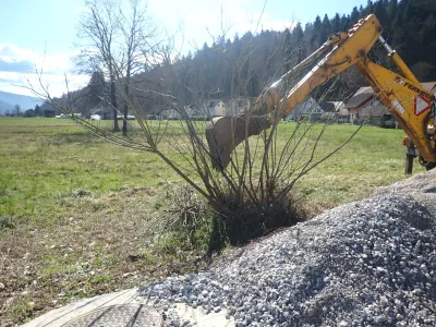 Grm invazivne rastline so odstranili tudi s pomočjo bagra. 