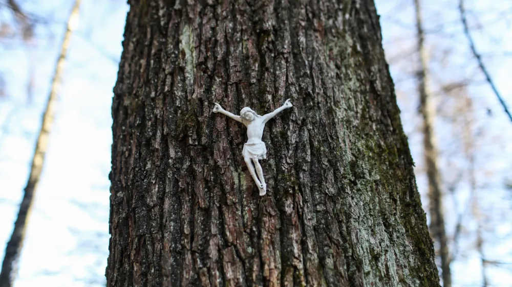 - 20.02.2024. - Simbolična fotografija, Jezus na drevesu, vera, krščanstvo, religija, Katoliška cerkev, religija.<br><br>//FOTO: Bojan Velikonja