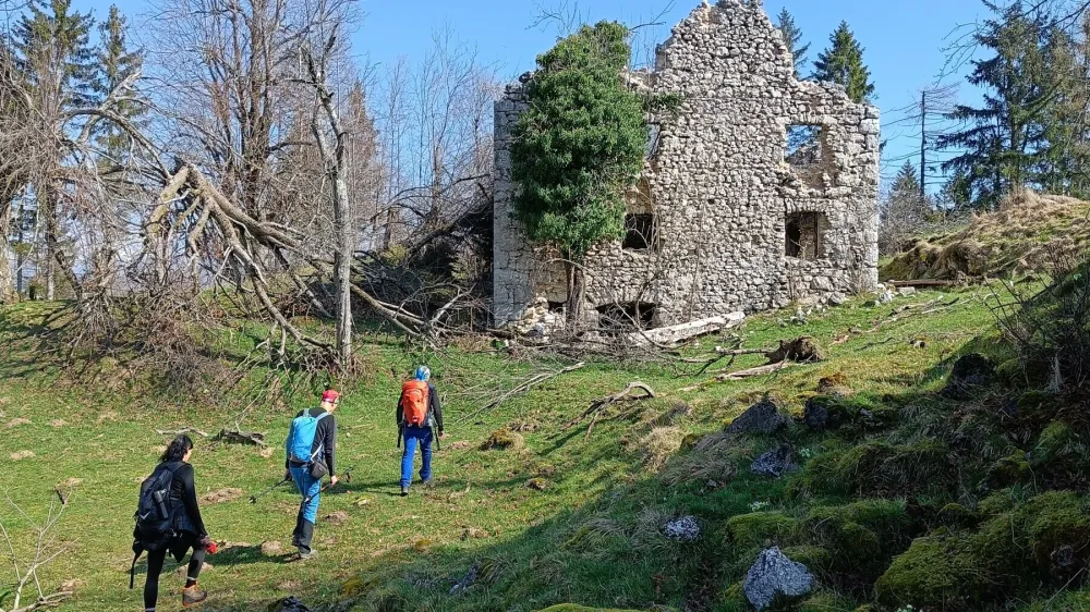 Pomladno praznovanje samote, ti&scaron;ine in preteklosti v Trnovskem gozdu. F Franja Ži&scaron;t<br>