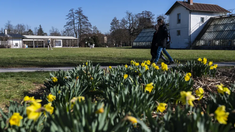 ValentinovoPark Tivoli- 14.2.2024 - Pomlad je prišla v mesto.// FOTO: Nik Erik Neubauer
