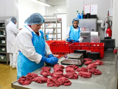 - proizvodnja &ndash; divjačina &ndash; divjačinsko meso -- 13.01.2020 &ndash; Podjetje NIMROD, d.o.o. - največji ponudnik divjačine v Evropi &ndash; odkup, predelava, prodaja in izvoz divjačinskega mesa, Trata 35 &ndash; &Scaron;kofja Loka //FOTO: Bojan Velikonja