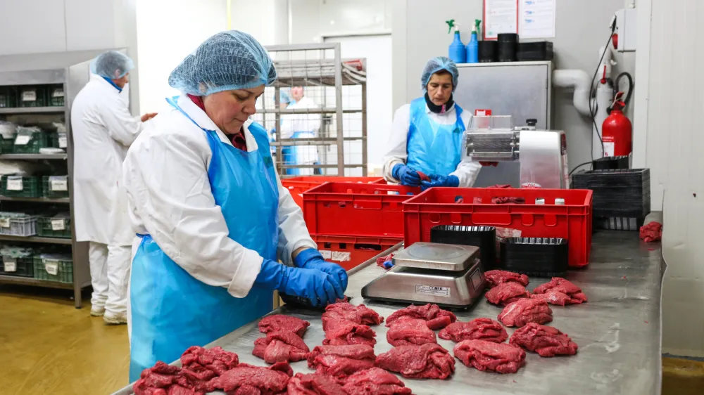 - proizvodnja &ndash; divjačina &ndash; divjačinsko meso -- 13.01.2020 &ndash; Podjetje NIMROD, d.o.o. - največji ponudnik divjačine v Evropi &ndash; odkup, predelava, prodaja in izvoz divjačinskega mesa, Trata 35 &ndash; &Scaron;kofja Loka //FOTO: Bojan Velikonja