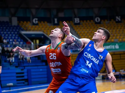 Alen Omić, Cedevita Olimpija
