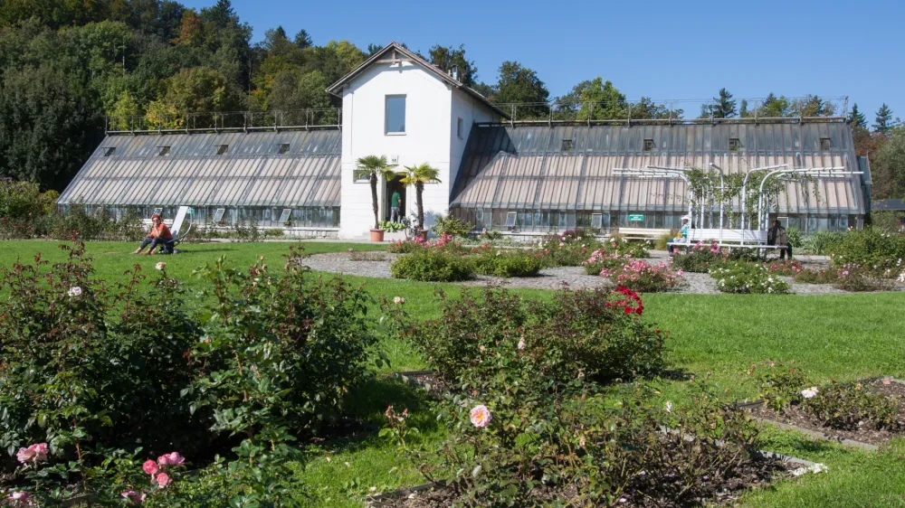 Rastlinjak Tivoli- 05.10.2015 - Park Tivoli - Mednarodni fenolo&scaron;ki vrt, ki je bil ustanovljen leta 1959 in sodi v mednarodno mrežo evropskih fenolo&scaron;kih vrtov in je edini tovrstni park v Sloveniji - proučevanje podnebnih sprememb in njihov vpliv na rastline - fenolo&scaron;ka opazovanja -    //FOTO: Maja MarkoOPOMBA: ZA OBJAVO V PRILOGI &ndash; DNEVNIKOV OBJEKTIV - REPORTAŽA 2015