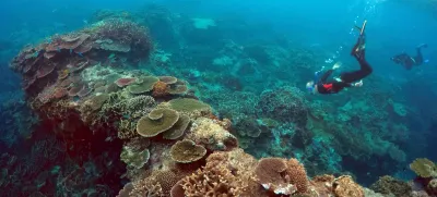 ﻿Peter Gash (L), owner and manager of the Lady Elliot Island Eco Resort, snorkels with Oliver Lanyon and Lewis Marshall, Senior Rangers in the Great Barrier Reef region for the Queenlsand Parks and Wildlife Service, during an inspection of the reef's condition in an area called the 'Coral Gardens' located at Lady Elliot Island and 80 kilometers north-east from the town of Bundaberg in Queensland, Australia, June 11, 2015. UNESCO World Heritage delegates recently snorkeled on Australia's Great Barrier Reef, thousands of coral reefs, which stretch over 2,000 km off the northeast coast. Surrounded by manta rays, dolphins and reef sharks, their mission was to check the health of the world's largest living ecosystem, which brings in billions of dollars a year in tourism. Some coral has been badly damaged and animal species, including dugong and large green turtles, are threatened. UNESCO will say on Wednesday whether it will place the reef on a list of endangered World Heritage sites, a move the Australian government wants to avoid at all costs, having lobbied hard overseas. Earlier this year, UNESCO said the reef's outlook was "poor". Picture taken June 11, 2015.   REUTERS/David Gray - RTX1IFF7