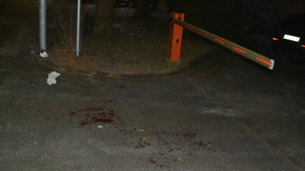 Množični pretep v Celju