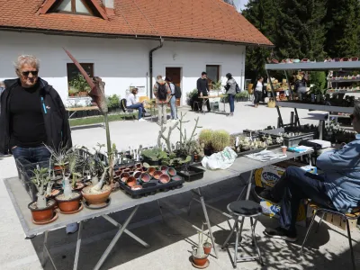 20.04.2024 - Boljšji sejem rastlin - Botanični vrt LjubljanaFoto: LUka Cjuha