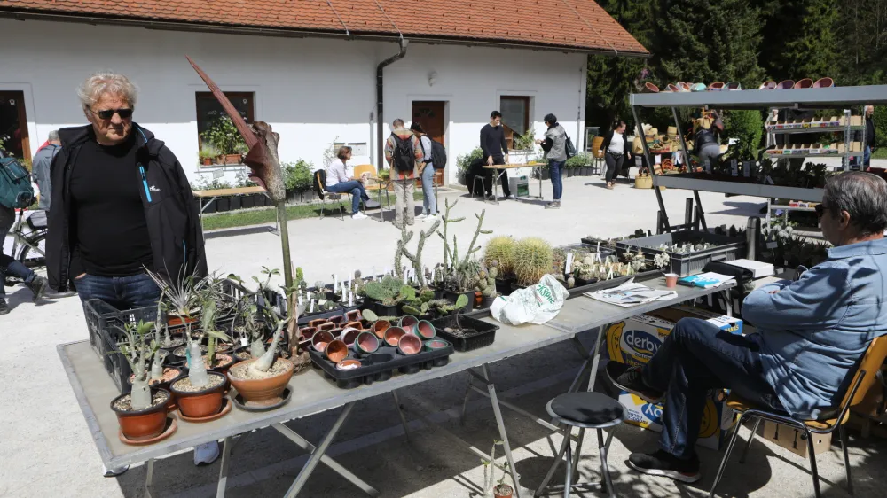 20.04.2024 - Boljšji sejem rastlin - Botanični vrt LjubljanaFoto: LUka Cjuha