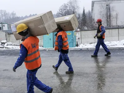 Kostno-mišična obolenja, ki so posledica težkih fizičnih obremenitev pri delu, so vzrok za kar četrtino bolniških odsotnosti in pogosto vodijo v invalidnost. Fotografija je simbolična. Foto: Jaka Gasar 