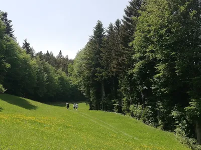 Na Pohorju vetrnic ne bo, so odločeni planinci iz Planinskega društva Slovenska Bistrica in člani različnih iniciativ. Kot kaže, pa zadnja bitka še ni bila izbojevana. Foto: Vesna Levičnik 