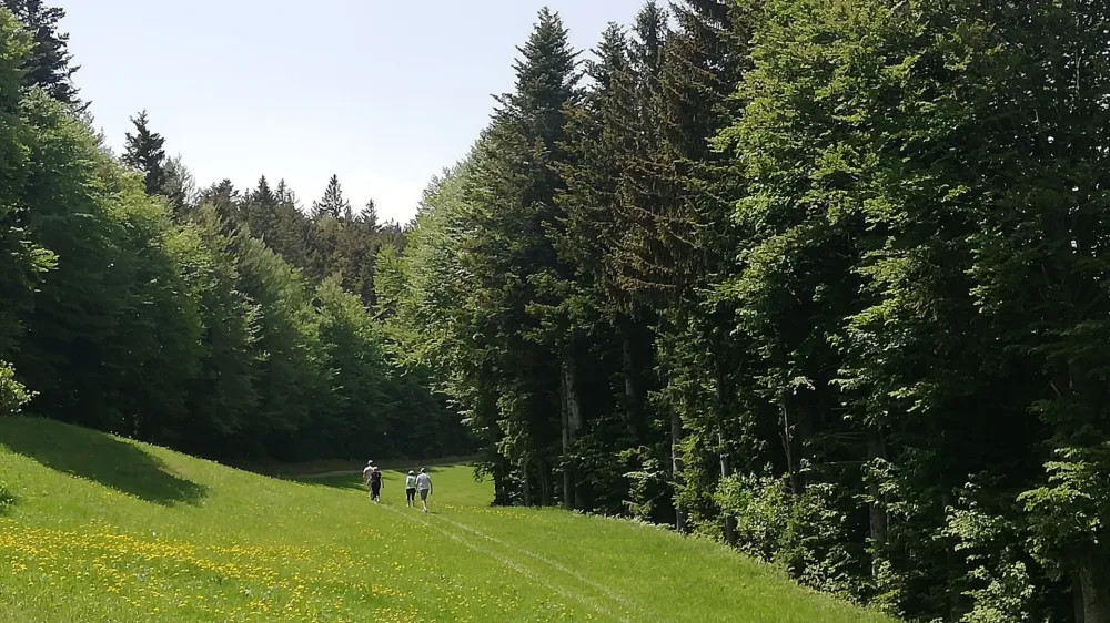 Na Pohorju vetrnic ne bo, so odločeni planinci iz Planinskega društva Slovenska Bistrica in člani različnih iniciativ. Kot kaže, pa zadnja bitka še ni bila izbojevana. Foto: Vesna Levičnik 