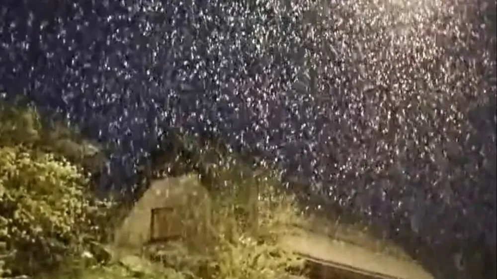 Sneg v delih Hrvaške