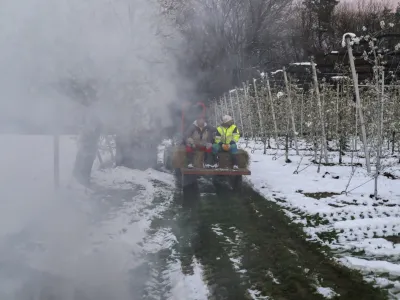 ﻿- sadovnjak Artiče - senene bale- 06.04.2021 - Spomladanska Pozeba - kurrjenje v sadovnjaku kot zaščita proti zmrzali - sadno drevje //FOTO: Jaka Gasar