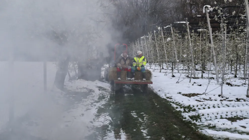 ﻿- sadovnjak Artiče - senene bale- 06.04.2021 - Spomladanska Pozeba - kurrjenje v sadovnjaku kot zaščita proti zmrzali - sadno drevje //FOTO: Jaka Gasar