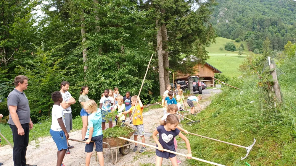 Lanska počitniška idila na ekološki učni kmetiji Kršinar 